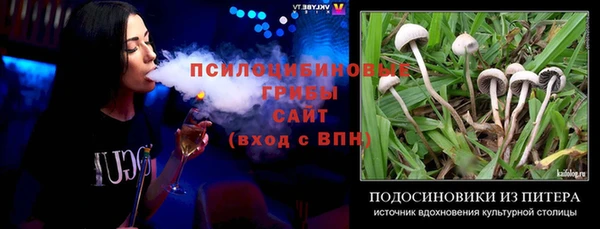 соль ск Алексеевка