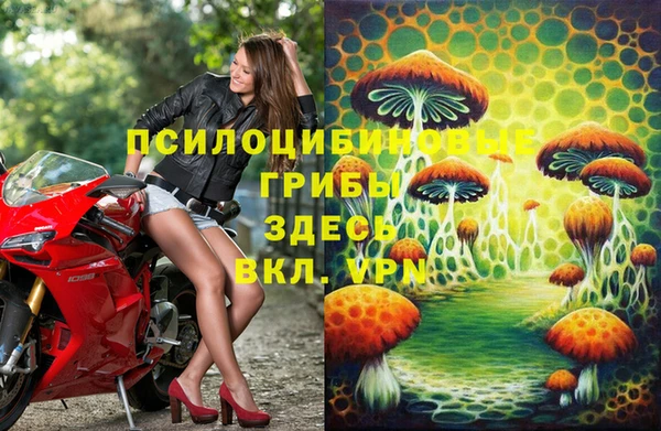 mdpv Алзамай