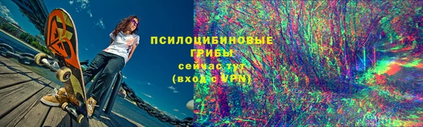 прущие грибы Алексин
