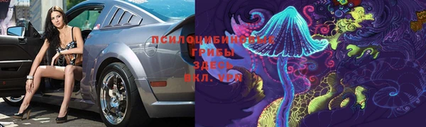 соль ск Алексеевка