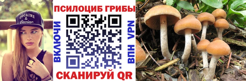купить   Нижняя Салда  Галлюциногенные грибы прущие грибы 